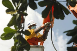 Công nhân Công ty Dịch vụ Điện lực Thành phố Hồ Chí Minh) thi công trên lưới điện khu vực phường Sơn Kỳ, quận Tân Phú, Thành phố Hồ Chí Minh dưới trời nắng nóng trên 41 độ C. (Ảnh: Thanh Vũ/TTXVN)