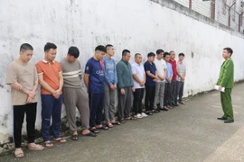 Các đối tượng trong chuyên án bị bắt giữ. (Ảnh: TTXVN phát)