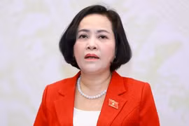 Bà Nguyễn Thị Thanh tham gia làm thành viên Hội đồng Thi đua-Khen thưởng Trung ương. (Nguồn: Tiền phong)