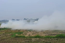 Ảnh minh họa. (Ảnh: Nguyễn Trọng Lịch/TTXVN)