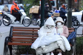 Ngày 29/1 tại Thủ đô Hà Nội, trời tiếp tục rét đậm, rét hại. (Ảnh: Tuấn Anh/TTXVN)