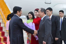 Chủ nhiệm Văn phòng Chủ tịch nước Lê Khánh Hải đón Tổng thống Philippines Ferdinand Romualdez Marcos Jr. và Phu nhân tại Sân bay Quốc tế Nội Bài. (Ảnh: Minh Đức/TTXVN)