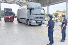 Cán bộ Cục Hải quan Bình Dương kiểm tra hàng hóa. (Nguồn: Báo Công Thương)