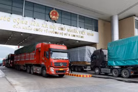 Hoạt động xuất, nhập khẩu sôi động trong những tháng đầu năm 2024 tại cửa khẩu quốc tế đường bộ số II Kim Thành. (Ảnh: Quốc Khánh/TTXVN)