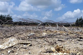 Cảnh tàn phá sau một cuộc không kích của Israel xuống thành phố Tartus (Syria). (Ảnh: AFP/TTXVN)