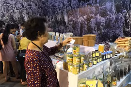 Ảnh chỉ mang tính minh họa. (Nguồn: Đức Duy/Vietnam+)