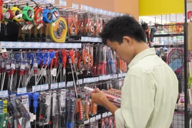 Ảnh chỉ mang tính minh họa. (Nguồn: Đức Duy/Vietnam+)