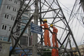 Nhân viên ngành điện đang chốt chỉ số công tơ của khách hàng. (Ảnh: Đức Duy/Vietnam+)