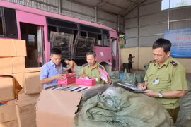 Quản lý thị trường kiểm tra hàng hóa theo thẩm quyền. (Ảnh: PV/Vietnam+)