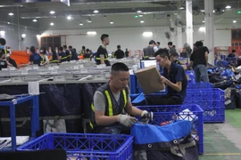 Sau 9 tháng, xuất khẩu của doanh nghiệp 100% vốn trong nước vượt 59,5 tỷ USD. (Ảnh: Đức Duy/Vietnam+)