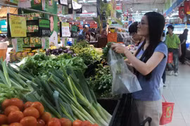 Ảnh chỉ mang tính minh họa. (Nguồn: Đức Duy/Vietnam+)