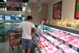 Ảnh chỉ mang tính minh họa. (Nguồn: Xuân Quảng/Vietnam+)