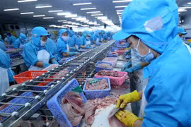 Dây chuyền chế biến cá tra xuất khẩu. (Ảnh: Vũ Sinh/TTXVN)