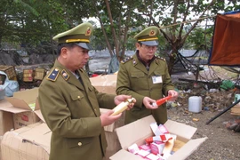 Lực lượng Quản lý thị trường Hà Nội kiểm tra hoạt động chấp hành pháp luật của doanh nghiệp. (Ảnh: Đức Duy/Vietnam+)