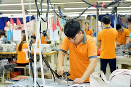 CPTPP có hiệu lực sẽ mở ra cánh cửa xuất khẩu cho nhiều mặt hàng công nghiệp chế biến, chế tạo của Việt Nam như: dệt may, da giày, đồ gỗ, thủy sản… (Nguồn: Đức Duy/Vietnam+)