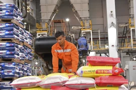 Sản phẩm NPK Phú Mỹ. (Ảnh: PV/Vietnam+)