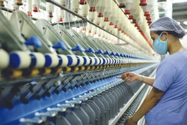 Doanh nghiệp đẩy mạnh sản xuất, hoàn thành kế hoạch năm. (Ảnh: Đức Duy/Vietnam+)