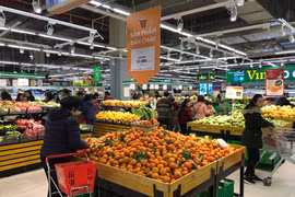 Ảnh chỉ mang tính minh họa. (Nguồn: Xuân Quảng/Vietnam+)