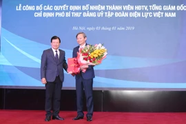 Ông Trần Đình Nhân được bổ nhiệm làm Tổng Giám đốc EVN. (Ảnh: PV/Vietnam+)