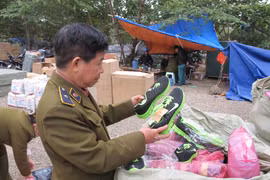 Vấn nạn hàng giả vẫn diễn biến phức tạp. (Ảnh: Đức Duy/Vietnam+)