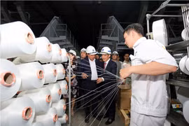 Dây chuyền sản xuất của Nhà máy xơ sợi Đình Vũ. (Ảnh: Đức Duy/Vietnam+)