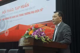 Thứ trưởng Bộ Công Thương Đặng Hoàng An nói về Thương mại điện tử. (Ảnh: Đức Duy/Vietnam+)