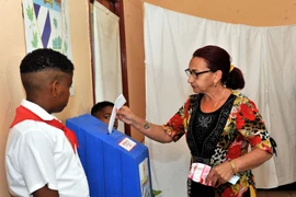 Cử tri Cuba bỏ phiếu bày tỏ ý kiến tán thành hoặc không tán thành thông qua Hiến pháp mới. (Ảnh: Lê Hà/TTXVN)