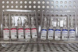 Vaccine Sputnik V phòng COVID-19 do Viện nghiên cứu dịch bệnh và vi trùng học Gamaleya của Nga phát triển. (Ảnh: Bloomberg/TTXVN)