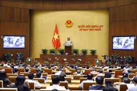Quang cảnh phiên họp. (Ảnh: Doãn Tấn/TTXVN)