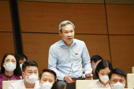Đại biểu Quốc hội tỉnh Thái Bình Phan Đức Hiếu phát biểu. (Ảnh: Phương Hoa/TTXVN)