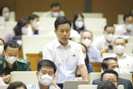 Đại biểu Quốc hội tỉnh Cà Mau Lê Quân phát biểu ý kiến. (Ảnh: Doãn Tấn/TTXVN)