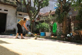 Cuộc sống của người dân Bắc Ninh. (Ảnh: Thanh Thương/TTXVN)