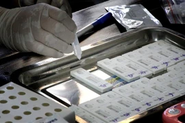 Chuẩn bị cho xét nghiệm COVID-19 tại Nghệ An. (Ảnh: Văn Tý/TTXVN)