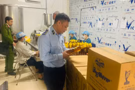Lực lượng chức năng kiểm tra mật ong có dấu hiệu hàng giả. (Ảnh: PV/Vietnam+)
