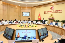 Bộ trưởng Nguyễn Hồng Diên chủ trì hội thảo. (Ảnh: Đức Duy/Vietnam+)