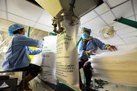 Dây chuyền sản xuất gạo phục vụ xuất khẩu. (Ảnh: Đức Duy/Vietnam+)