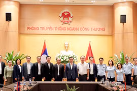Thứ trưởng Bộ Công Thương Nguyễn Sinh Nhật Tân làm việc với Đoàn công tác của Bộ Công Thương Lào do Thứ trưởng Bountheung Douangsavanh làm Trưởng đoàn. (Ảnh: PV/Vietnam+)