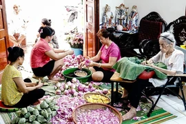 Công đoạn ướp trà sen tại một gia đình nghệ nhân có truyền thống nhiều đời ở Hồ Tây, Hà Nội. (Ảnh: Khánh Hòa/TTXVN)