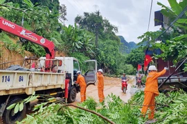 Sửa chữa lưới điện sau bão tại tỉnh Thái Nguyên. (Ảnh: EVN)