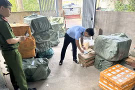 Lực lượng chức năng của Hà Nội kiểm tra thực phẩm tại hộ kinh doanh trên địa bàn huyện Thanh Oai. (Ảnh: PV/Vietnam+)
