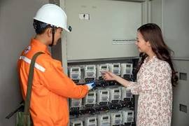 EVNHANOI lắp đặt 100% công tơ điện tử cho khách hàng. (Ảnh: PV/Vietnam+)
