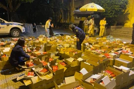 Lực lượng chức năng phát hiện nhiều sản phẩm nghi là pháo nổ. (Ảnh: PV/Vietnam+)