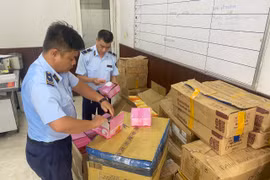 Lực lượng chức năng kiểm tra bánh Trung Thu. (Ảnh: PV/Vietnam+)