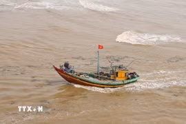 (Ảnh minh họa: TTXVN)