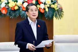 Phó Chủ tịch Quốc hội Nguyễn Đức Hải. (Nguồn: TTXVN)