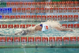 (Ảnh: Trọng Đạt/TTXVN)