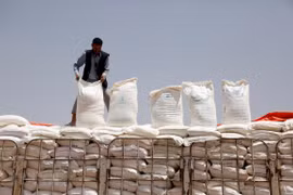 Lương thực viện trợ cho người dân Yemen từ Chương trình Lương thực Thế giới (WFP) được đưa tới thủ đô Sanaa ngày 23/6/2019. (Ảnh: THX/TTXVN)