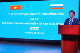 Phó Thủ tướng Trịnh Đình Dũng phát biểu tại cuộc gặp. (Ảnh: Tâm Hằng/Vietnam+)