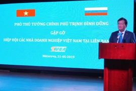 Phó Thủ tướng Trịnh Đình Dũng phát biểu tại cuộc gặp. (Ảnh: Tâm Hằng/Vietnam+)