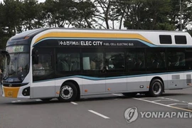 (Nguồn: Yonhap)